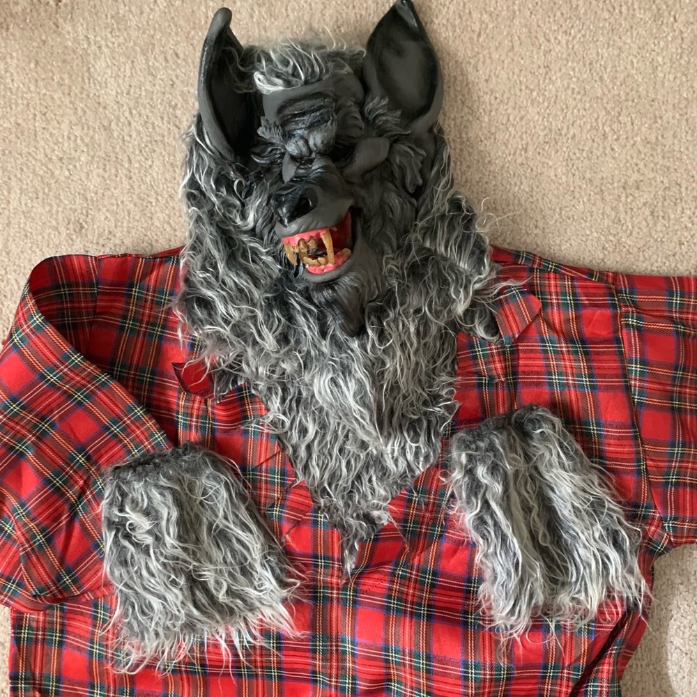 Size L Boys Wolf Halloween Costume